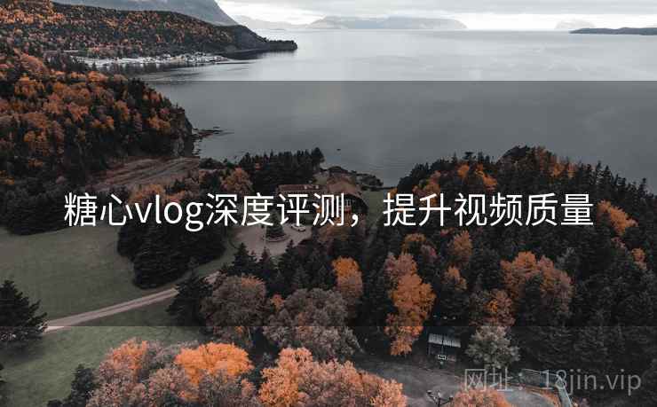 糖心vlog深度评测，提升视频质量  第2张