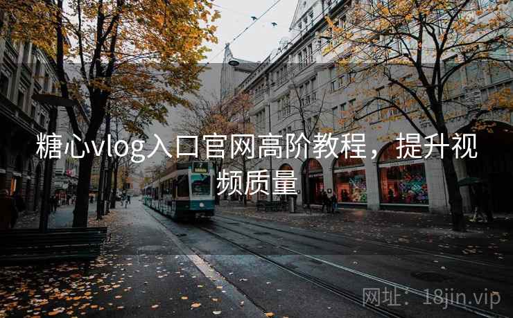 糖心vlog入口官网高阶教程，提升视频质量