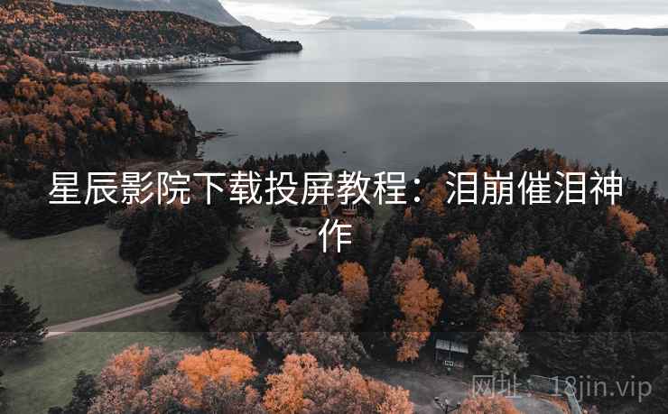 星辰影院下载投屏教程：泪崩催泪神作  第2张