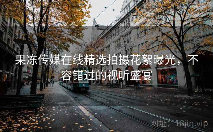 果冻传媒在线精选拍摄花絮曝光，不容错过的视听盛宴